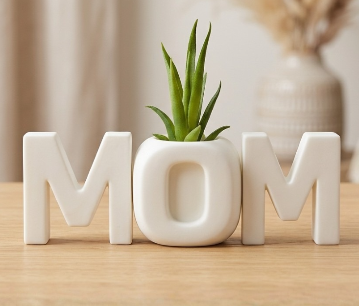 Vaso de Suculenta – Mom
