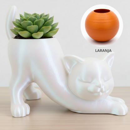 Vaso Gatinho Zen