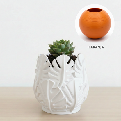 Vaso Costela de Adão