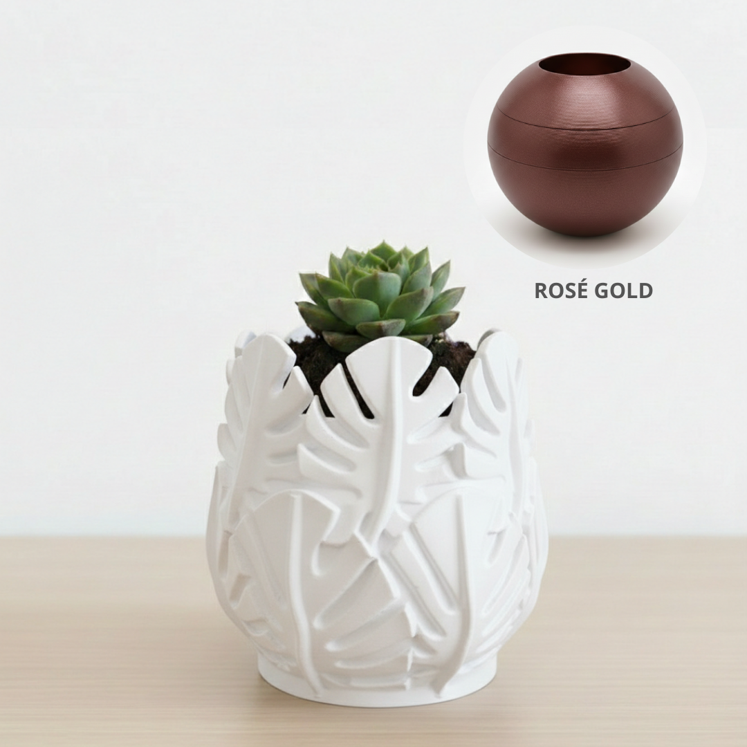 Vaso Costela de Adão