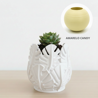 Vaso Costela de Adão