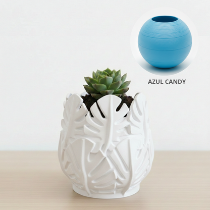 Vaso Costela de Adão