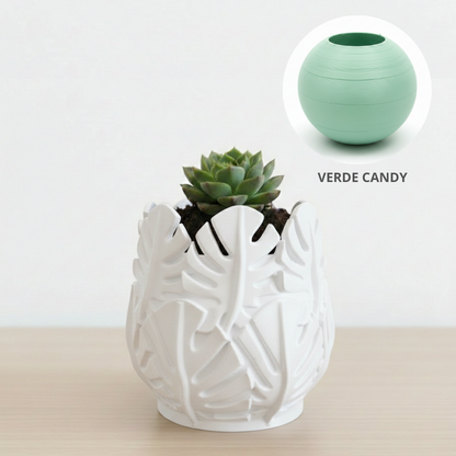 Vaso Costela de Adão