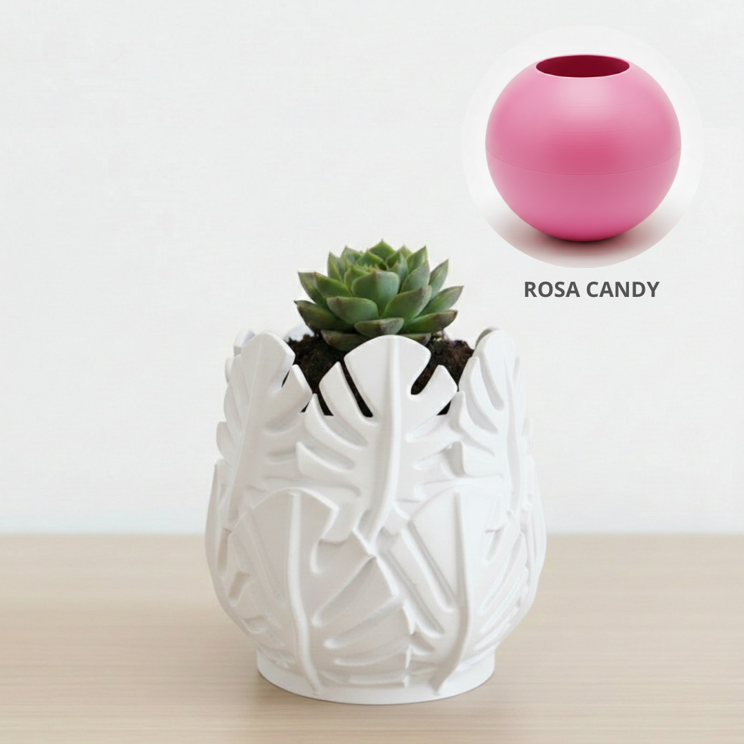 Vaso Costela de Adão