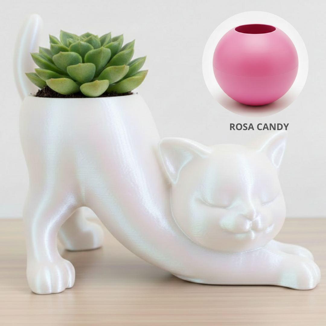 Vaso Gatinho Zen