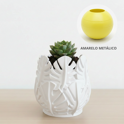 Vaso Costela de Adão