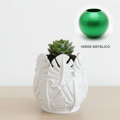 Vaso Costela de Adão