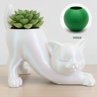Vaso Gatinho Zen