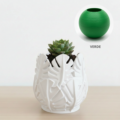 Vaso Costela de Adão