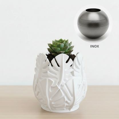 Vaso Costela de Adão