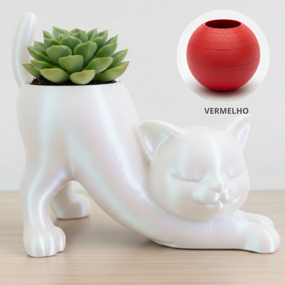 Vaso Gatinho Zen