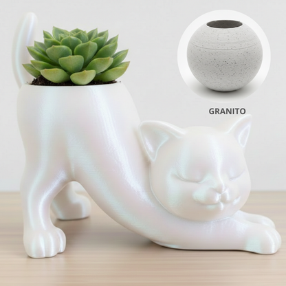 Vaso Gatinho Zen