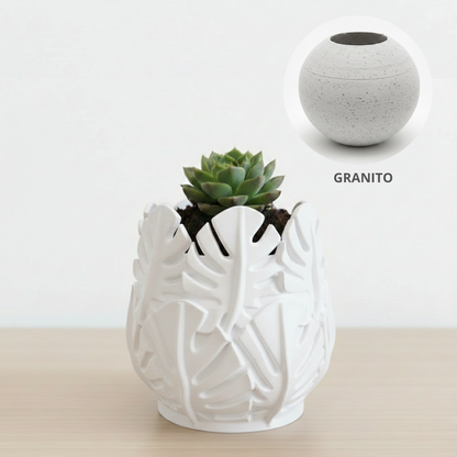 Vaso Costela de Adão