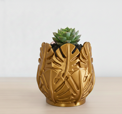 Vaso Costela de Adão