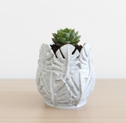 Vaso Costela de Adão